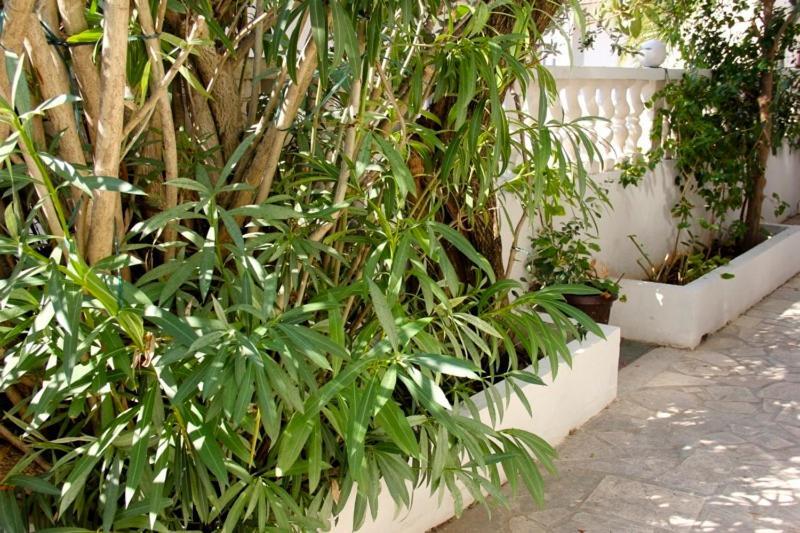 Apartments Jasmin تروغير المظهر الخارجي الصورة