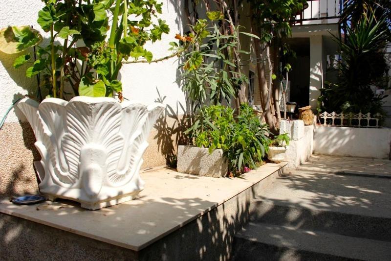 Apartments Jasmin تروغير المظهر الخارجي الصورة